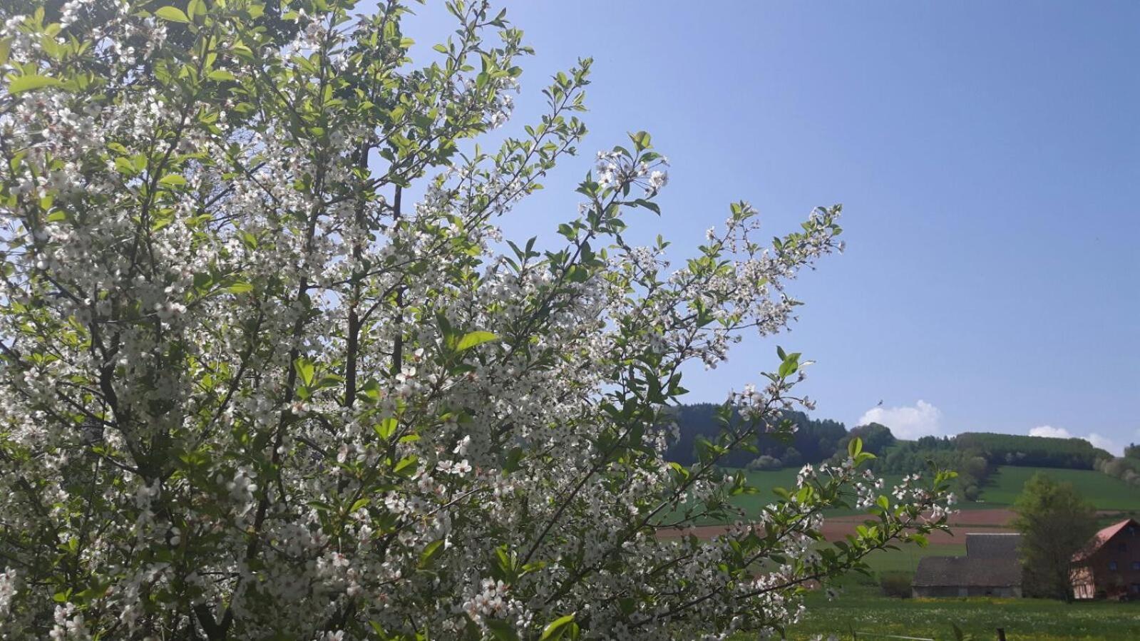Agroturystyka "U Kasi" Scinawka Gorna Exterior photo